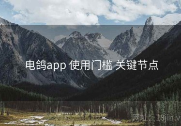 电鸽app 使用门槛 关键节点