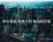 评价体系 视角下的 电鸽网页版