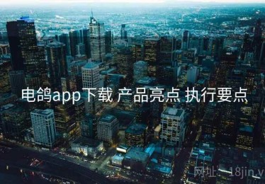 电鸽app下载 产品亮点 执行要点