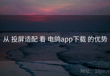 从 投屏适配 看 电鸽app下载 的优势