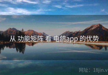 从 功能矩阵 看 电鸽app 的优势