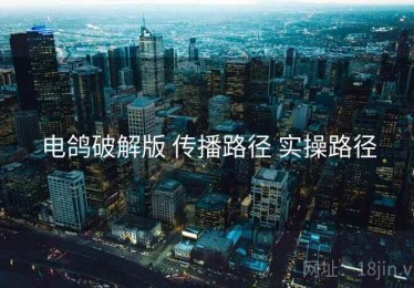 电鸽破解版 传播路径 实操路径