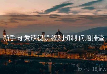 新手向 爱液视频 福利机制 问题排查