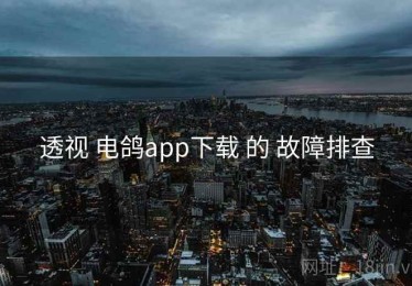 透视 电鸽app下载 的 故障排查