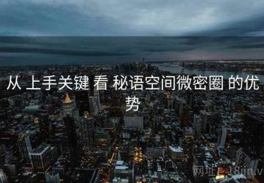 从 上手关键 看 秘语空间微密圈 的优势
