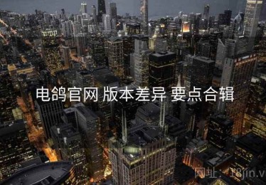 电鸽官网 版本差异 要点合辑