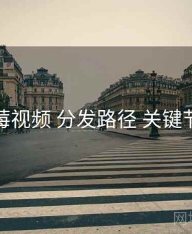 蓝莓视频 分发路径 关键节点