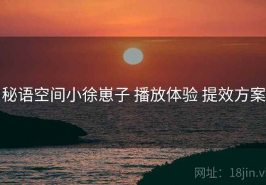 秘语空间小徐崽子 播放体验 提效方案