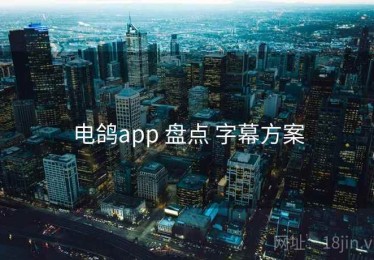 电鸽app 盘点 字幕方案
