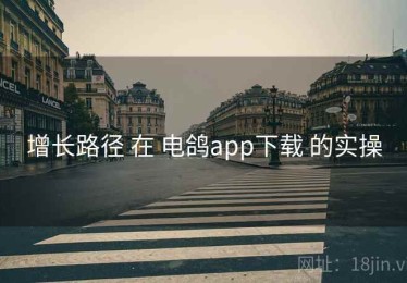 增长路径 在 电鸽app下载 的实操