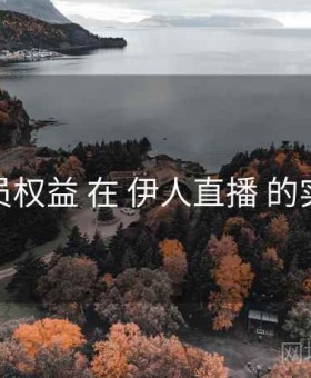 会员权益 在 伊人直播 的实操