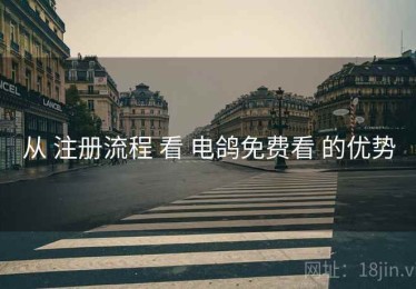 从 注册流程 看 电鸽免费看 的优势