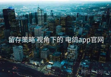 留存策略 视角下的 电鸽app官网