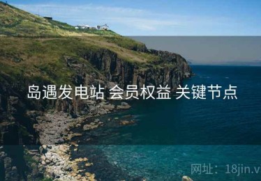 岛遇发电站 会员权益 关键节点