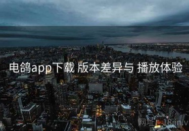 电鸽app下载 版本差异与 播放体验