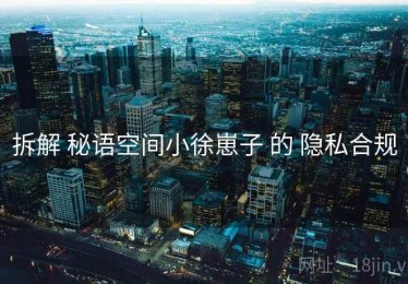 拆解 秘语空间小徐崽子 的 隐私合规