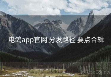 电鸽app官网 分发路径 要点合辑