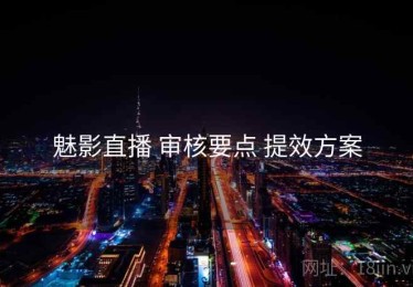 魅影直播 审核要点 提效方案