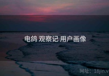 电鸽 观察记 用户画像