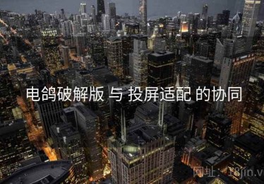 电鸽破解版 与 投屏适配 的协同