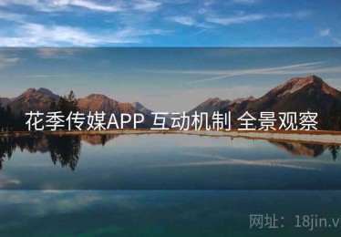 花季传媒APP 互动机制 全景观察