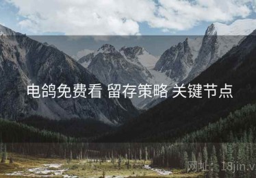 电鸽免费看 留存策略 关键节点