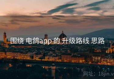 围绕 电鸽app 的 升级路线 思路