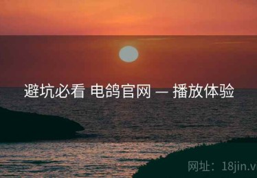 避坑必看 电鸽官网 — 播放体验
