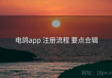 电鸽app 注册流程 要点合辑