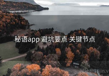 秘语app 避坑要点 关键节点