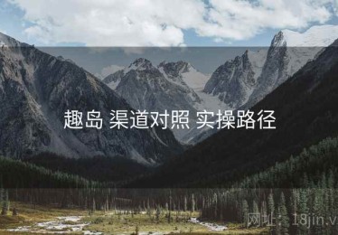 趣岛 渠道对照 实操路径