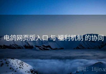 电鸽网页版入口 与 福利机制 的协同