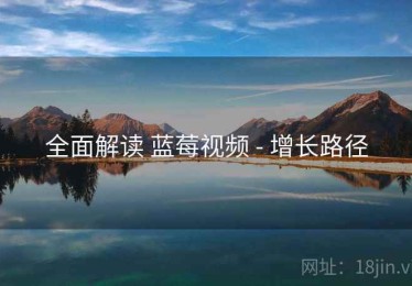 全面解读 蓝莓视频 - 增长路径