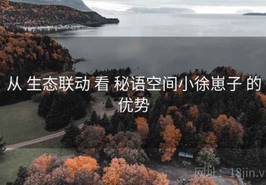 从 生态联动 看 秘语空间小徐崽子 的优势