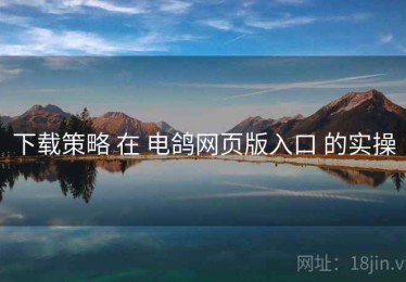 下载策略 在 电鸽网页版入口 的实操