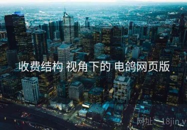 收费结构 视角下的 电鸽网页版