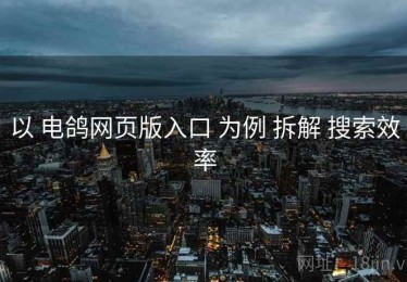 以 电鸽网页版入口 为例 拆解 搜索效率
