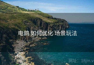 电鸽 如何优化 场景玩法