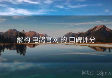 解构 电鸽官网 的 口碑评分