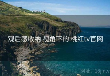 观后感收纳 视角下的 桃红tv官网