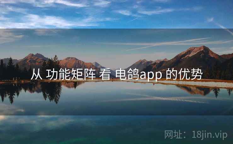 从 功能矩阵 看 电鸽app 的优势 从 功能矩阵 看 电鸽app 的优势