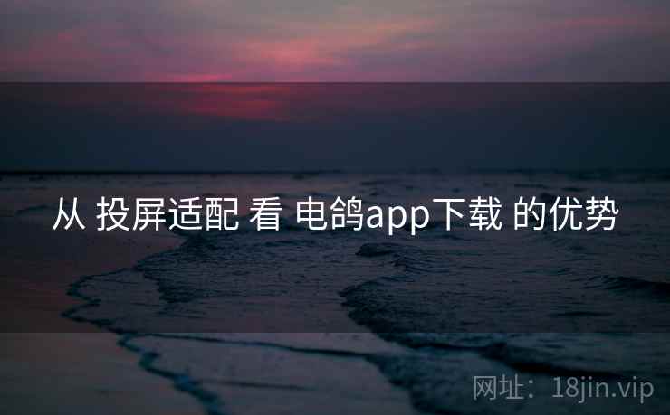 从 投屏适配 看 电鸽app下载 的优势