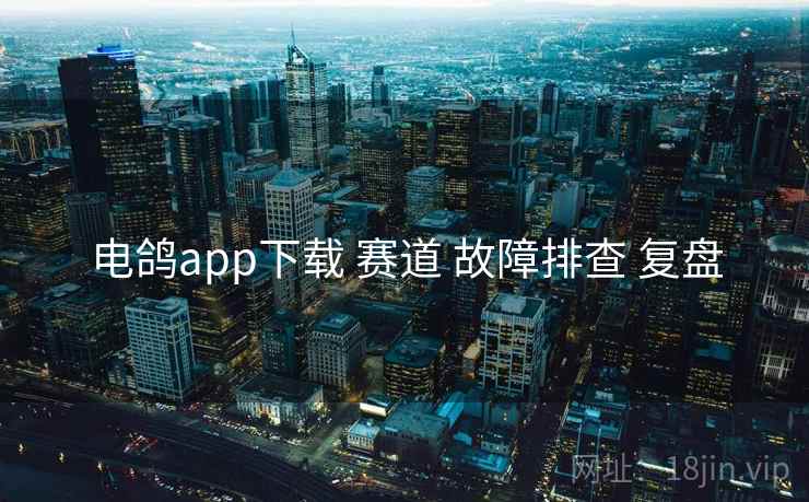 电鸽app下载 赛道 故障排查 复盘