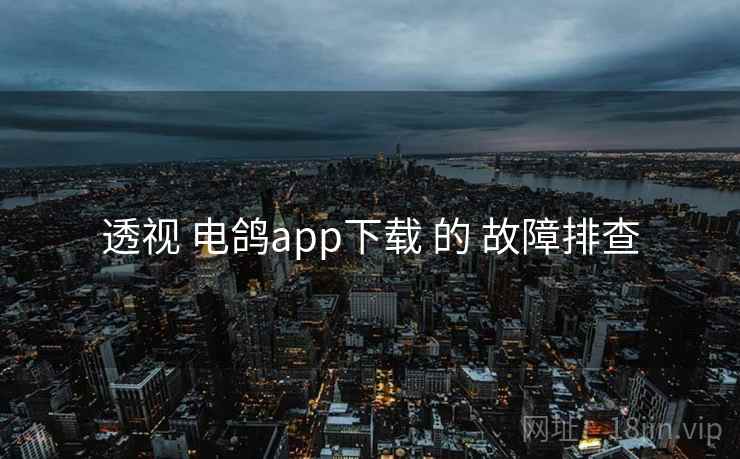 透视 电鸽app下载 的 故障排查