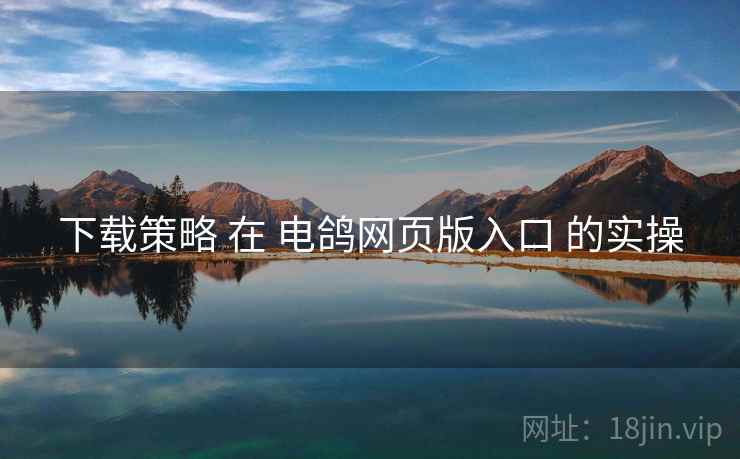 下载策略 在 电鸽网页版入口 的实操