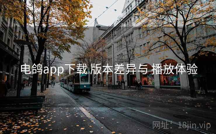 电鸽app下载 版本差异与 播放体验 电鸽app下载 版本差异与 播放体验