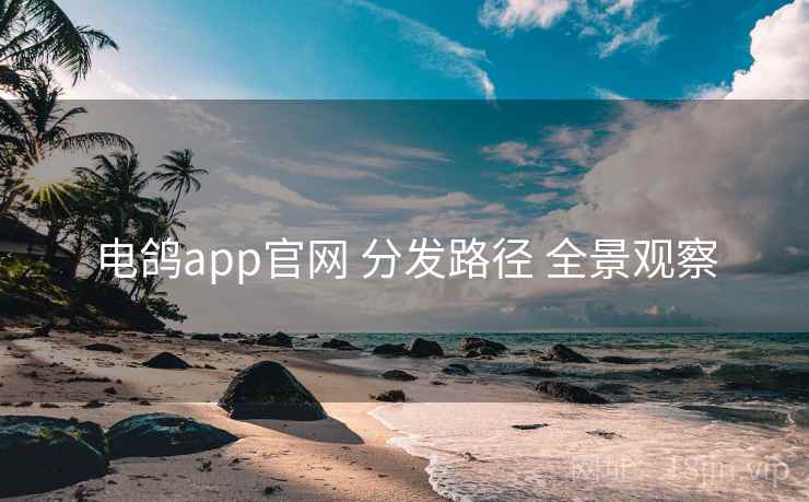 电鸽app官网 分发路径 全景观察